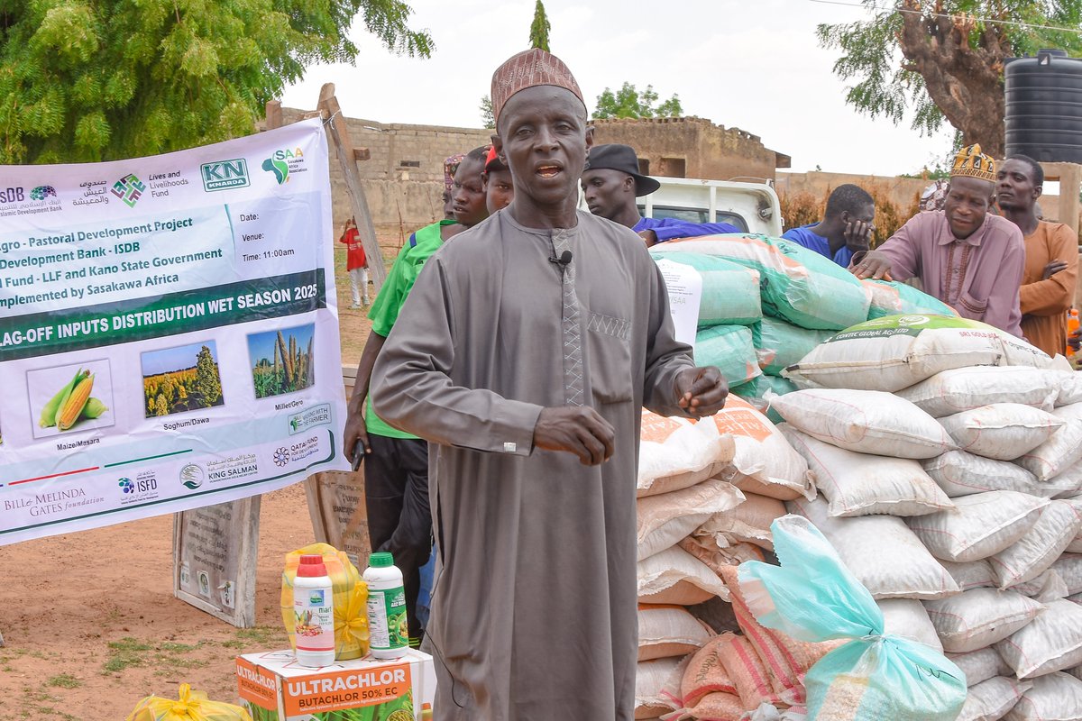 KanoPastoral's tweet image. As part of an initiative to ensure a sustainable food supply at the household level, KSADP funded by #IsDB & #LLF has continued to support smallholder farmers in Kano with improved seeds, fertilizers, and pesticides, for the 2025 wet season.