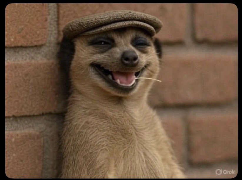 How I look at clients that want architectural designs at fee that can't even purchase a door 😹😹