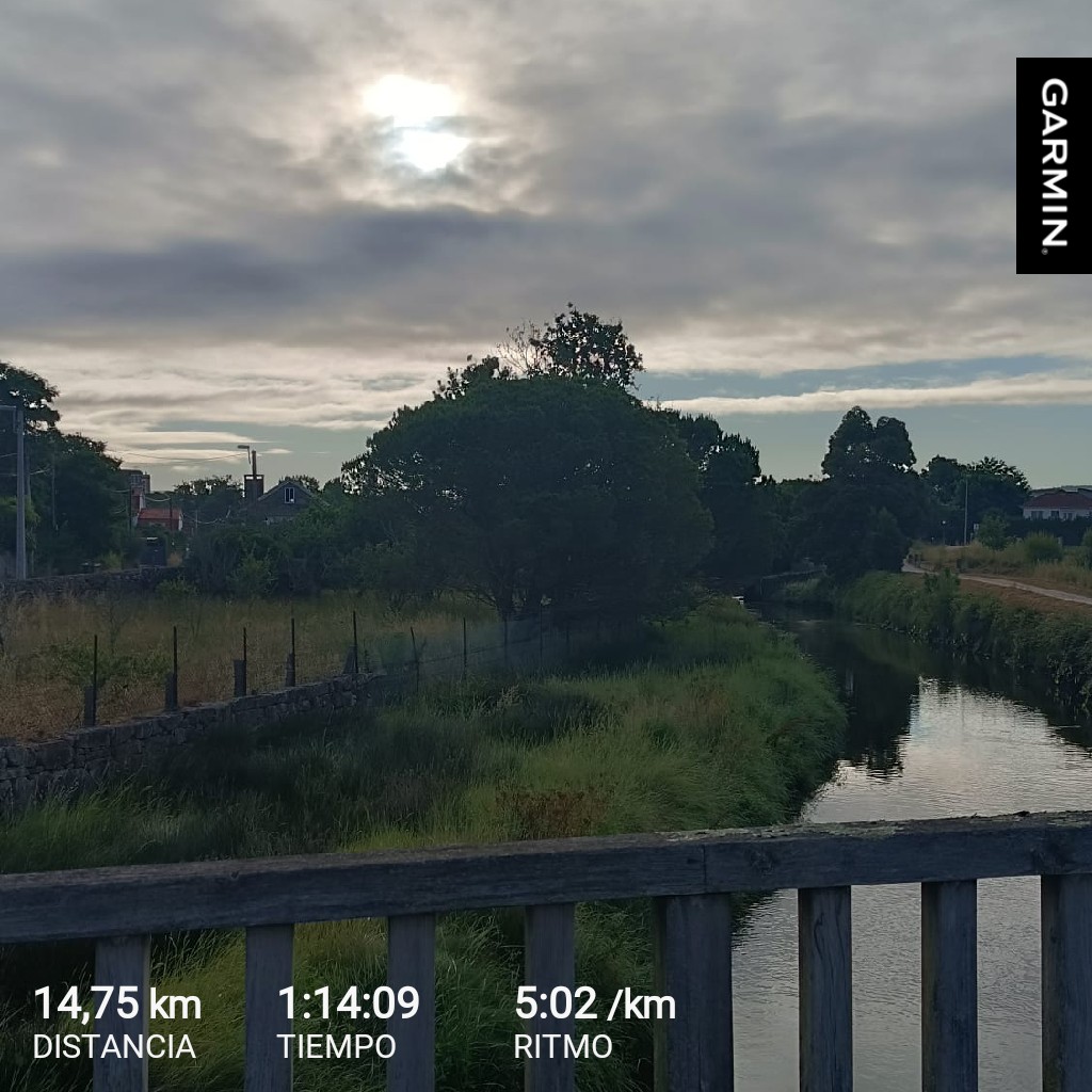 Félix Abalde tweet media