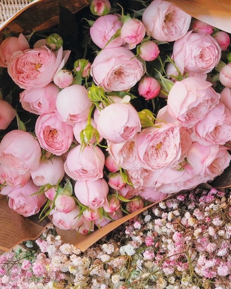 Angela (@angela3789677) on Twitter photo 