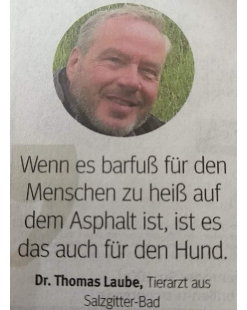 WIE RECHT ER DOCH HAT!!!
Bitte meidet bei Hitze den Asphalt mit euren Fellnasen. Empfindsame Hundepfoten leiden furchtbar unter den Temperaturen des Bodens, und es können sich leicht Verbrennungen und Entzündungen bilden.

EUREN LIEBLINGEN ZULIEBE WEG VOM HEISSEN ASPHALT!
