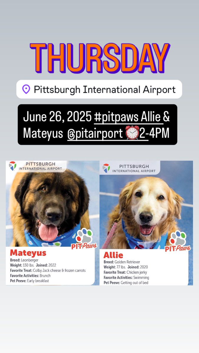 Airport Therapy Dogs (@aptherapydogs) on Twitter photo June 26, 2025 #pitpaws Allie & Mateyus <a href="/PITairport/">Pittsburgh International Airport</a>
⏰2-4PM
#airporttherapydogs #pitpaws #pitsburgh June 26, 2025 #pitpaws Allie & Mateyus <a href="/PITairport/">Pittsburgh International Airport</a>
⏰2-4PM
#airporttherapydogs #pitpaws #pitsburgh