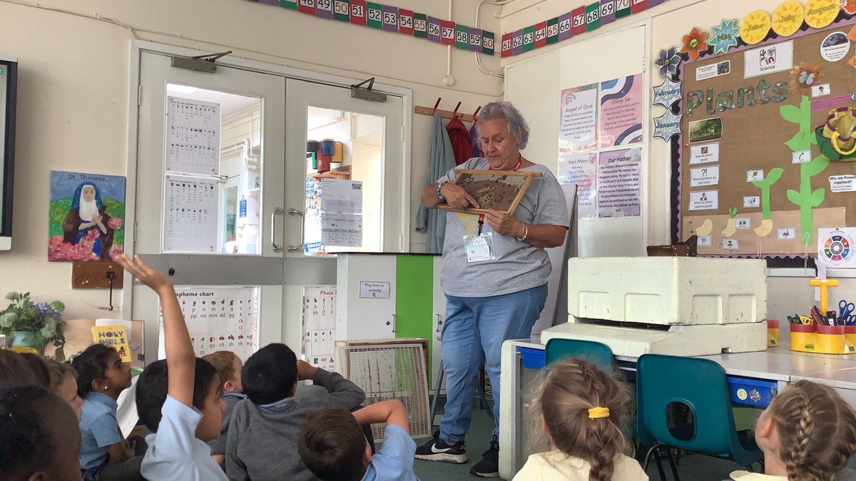 StAugustinesTW's tweet image. Today year 1 had a bee workshop from Michelle who is a real bee keeper. We are learning how to be stewards of the earth, caring for Gods creatures. @RC_Southwark @rcaoseducation @kcsp_academies @CathEdService #catholicsocialteaching