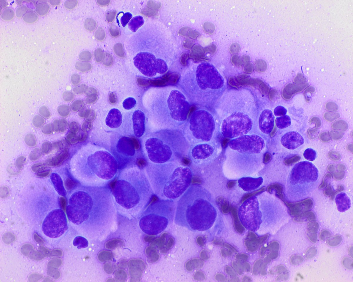 Pepe Jiménez Heffernan tweet media