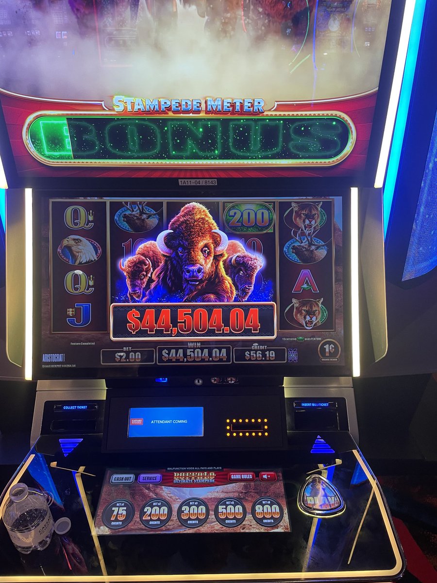 Forget the sunscreen—this Buffalo jackpot just brought $44,504.04 worth of summer heat to our <a href="/CaesarsRewards/">Caesars Rewards</a> member, Tihn! Congratulations! 🎰☀️💰

Must be 21 or older. Gambling problem? Call or text 1-800-GAMBLER.