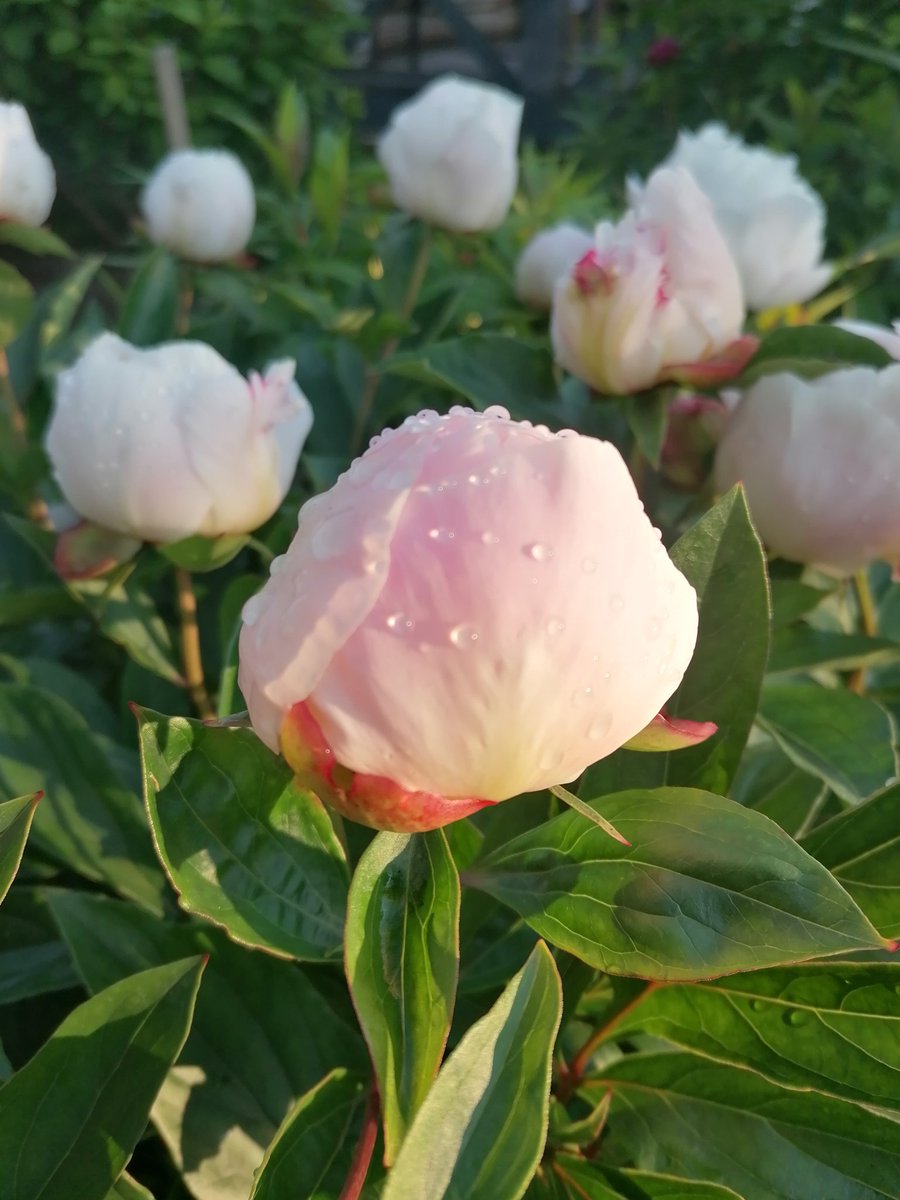 Всем доброго вечера 🌷☀️