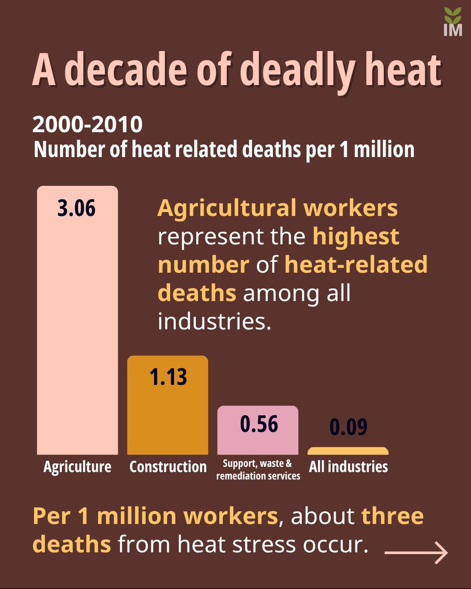 IMidwest's tweet image. Farmworkers face the deadliest heat risk – and it’s only getting hotter. New federal rules are in the works, but opposition threatens real change.

Check out Sky Chadde’s Data Harvest: investigatemidwest.org/2025/06/24/hig…

#Farmworkers #OSHA #WorkerRights #HeatWave