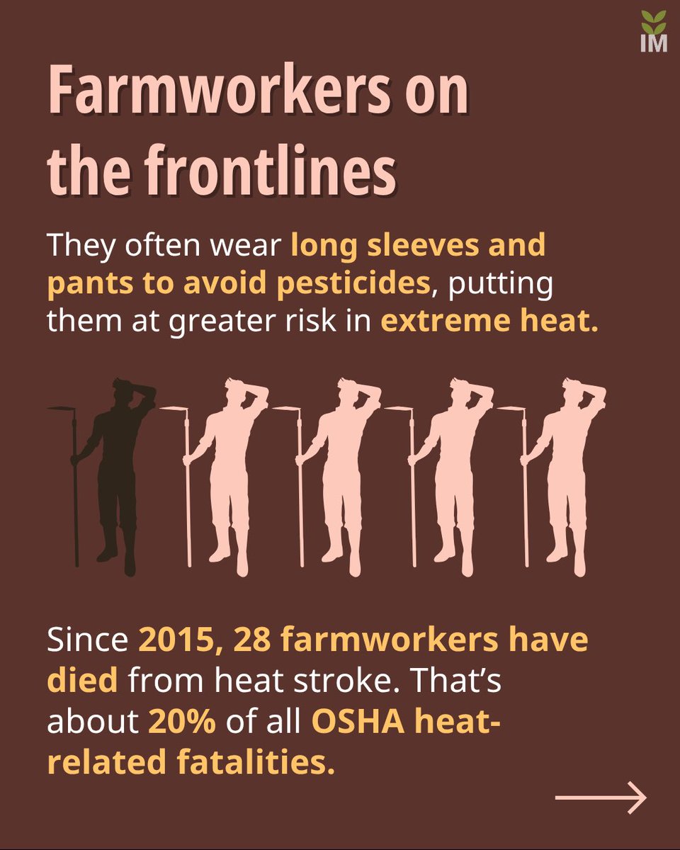IMidwest's tweet image. Farmworkers face the deadliest heat risk – and it’s only getting hotter. New federal rules are in the works, but opposition threatens real change.

Check out Sky Chadde’s Data Harvest: investigatemidwest.org/2025/06/24/hig…

#Farmworkers #OSHA #WorkerRights #HeatWave