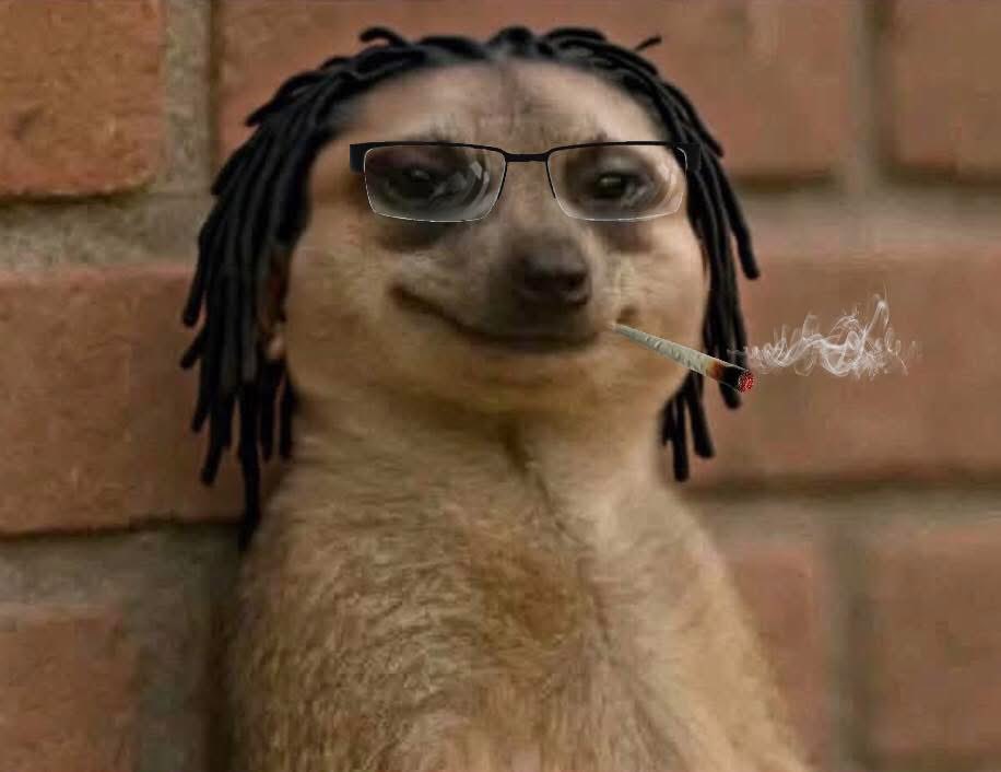 RosetoAkani's tweet photo. @lowkeyfr tdzUKGeAchLRzpYBzmBWEGaoP7E8EQ8hPv8Eqi8pump

meerkat https://t.co/aBjc6gPYAc