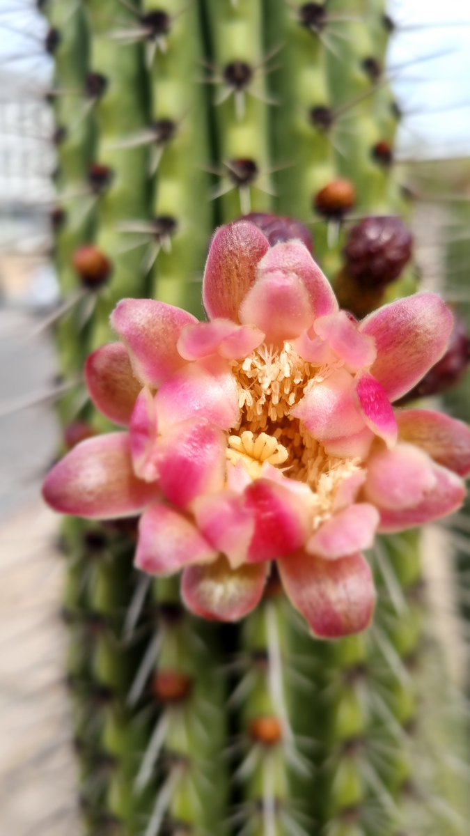 La vida brilla en los pequeños detalles que te regala 🥰