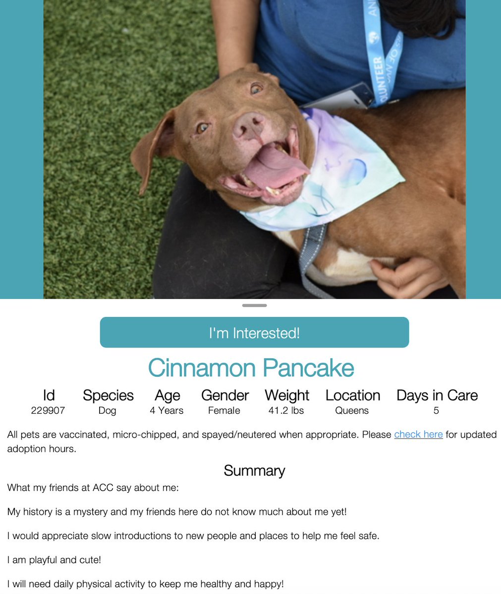 I'M A BEAUTIFUL SWEET GIRL AND I NEED MY 
LOVING FOREVER HOME 💗🏡 NYCACC 
CINNAMON PANCAKE 💗 #229907  4yr old Girl 💕 
SO beautiful with that precious smile!! Loving girl 
very playful!! She deserves to be loved and have a 
good forever home 🏡 
#Adopt
#Foster
#Pledge4Rescue 🏡
