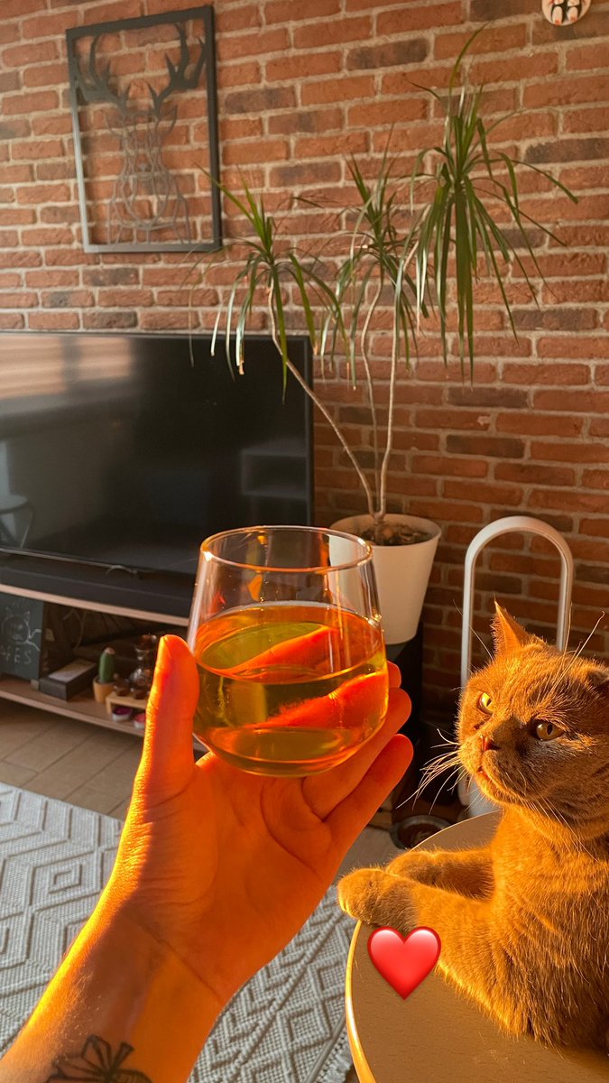 Utanmasa viski içecek 😂