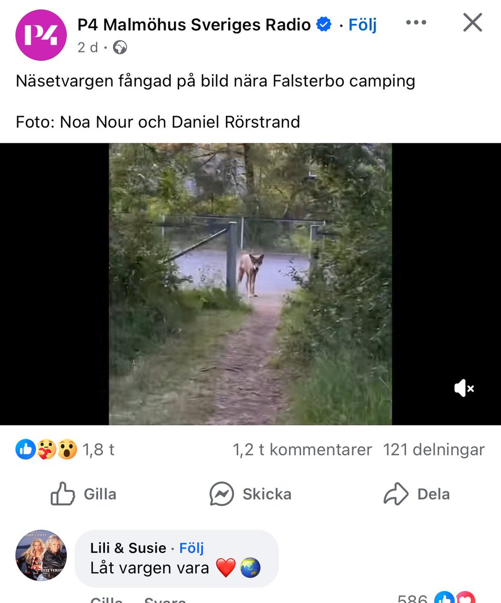 1. Varg här nere
2. Användarkontot i kommentaren på inlägget!

Avdelning: inte varje dag.