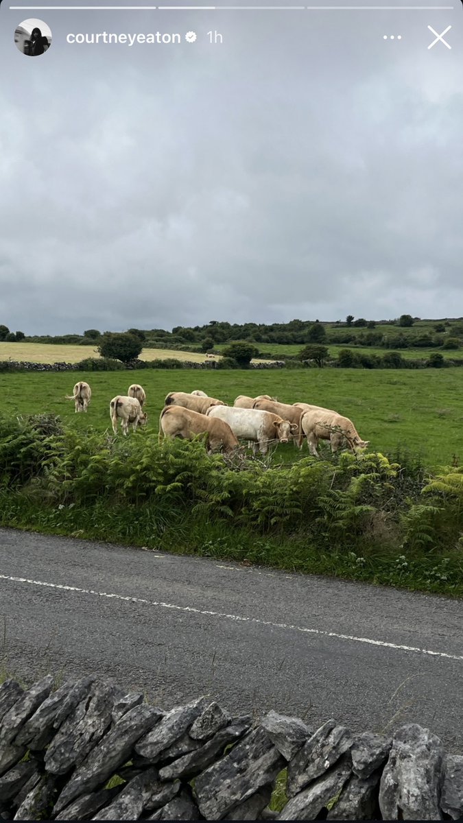 i know ireland when i see it