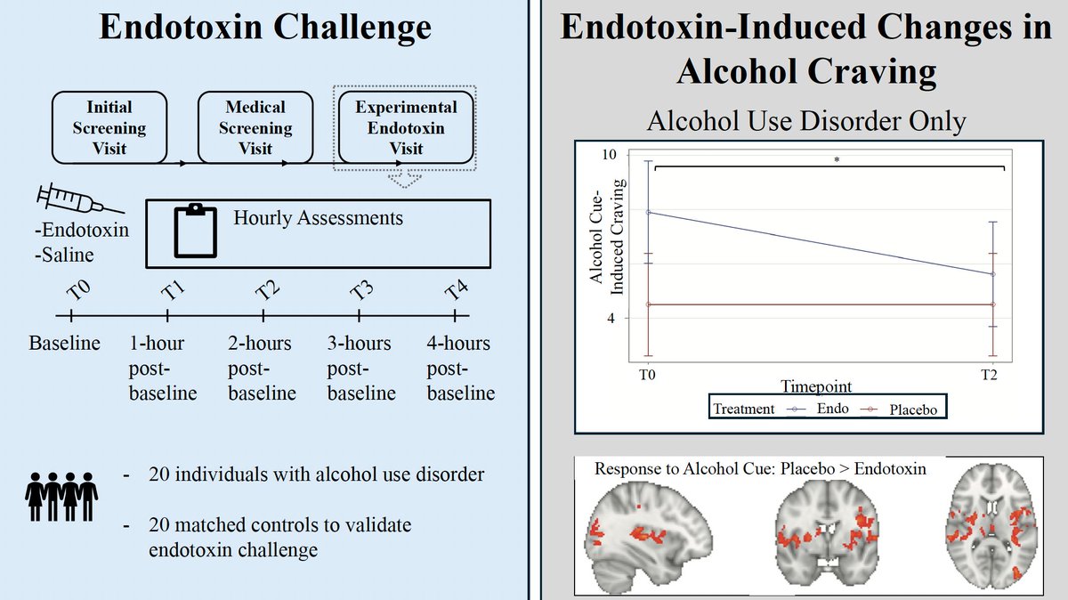 ACERjournal's tweet image. Inflammatory endotoxin challenge in individuals with alcohol use disorder and controls doi.org/10.1111/acer.7…