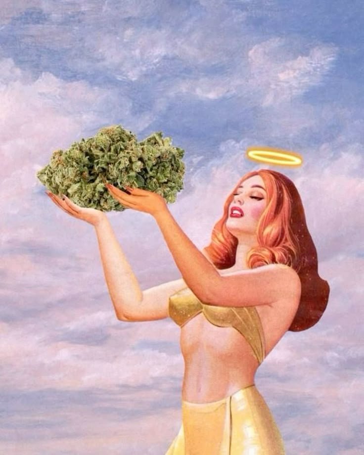 defizard tweet media