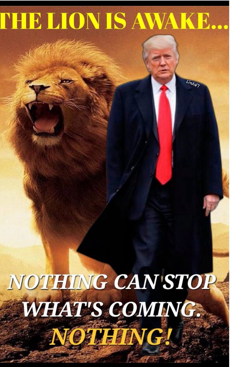 <a href="/PapiTrumpo/">il Donaldo Trumpo</a> Yes! 👍👍👍