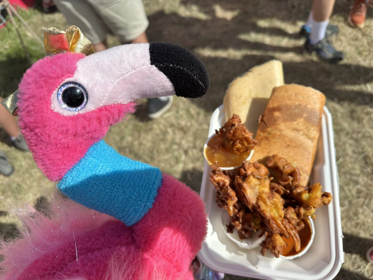 Dosa in the Park area 👌🏼🤤

#glastofanniemac🦩 #fannieflamingo🦩 
#fanniemac #glastofannie #glastonbury2025 #glasto2025 #glastonbury #glastonburyfestival #glasto #glastofest