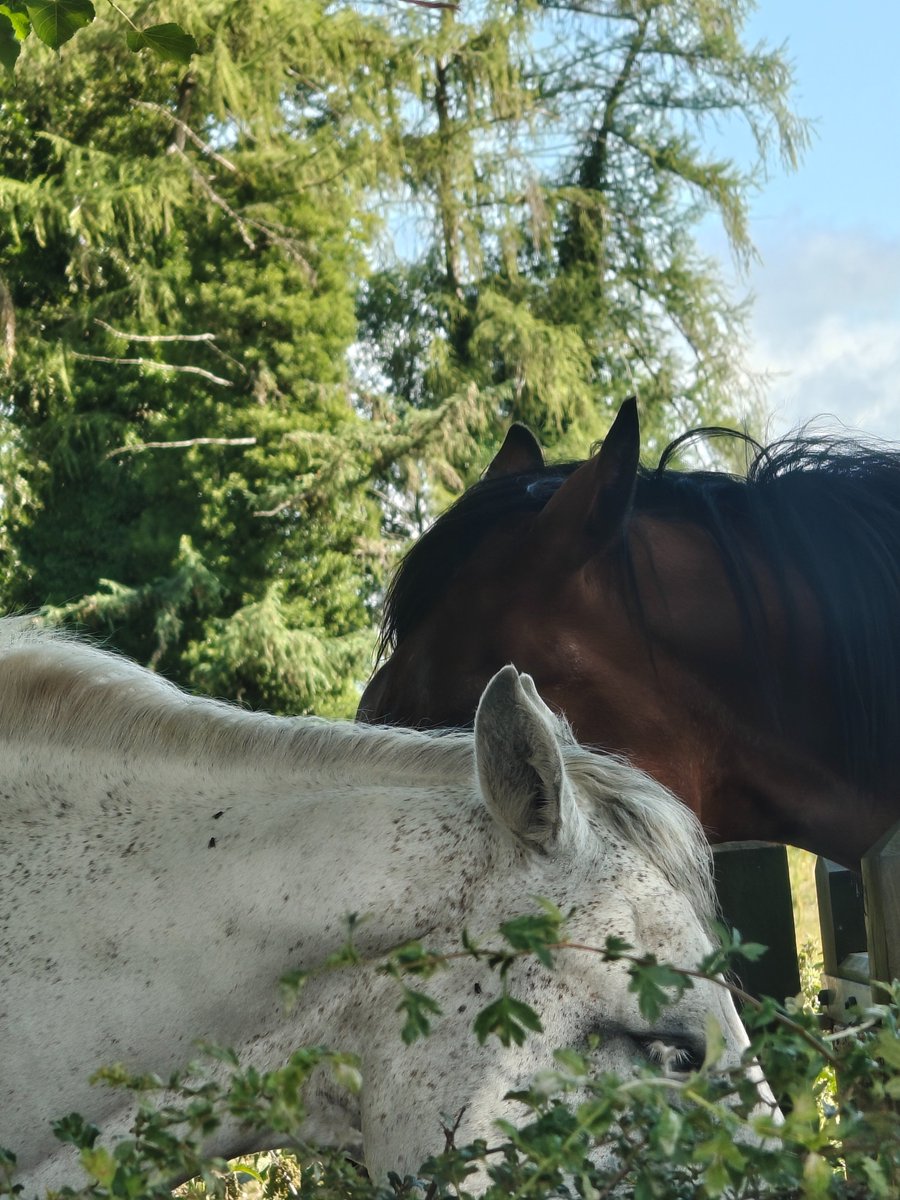 jayꙮ (@eyes8atelier) on Twitter photo 