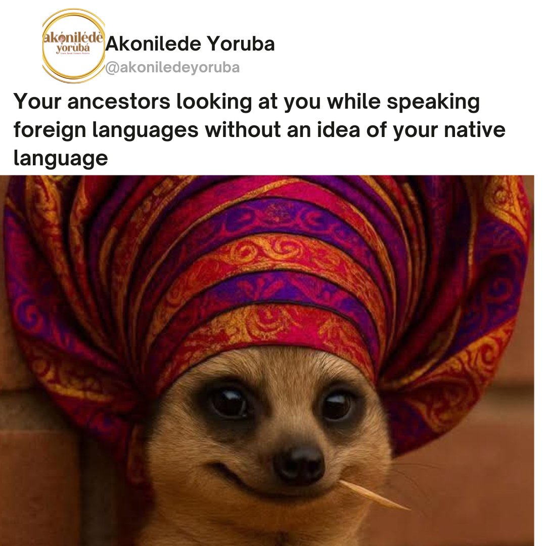 Akonilede Yoruba tweet media