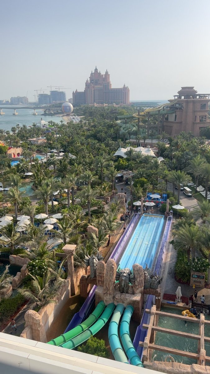 Lulwah Almajed💎 tweet media