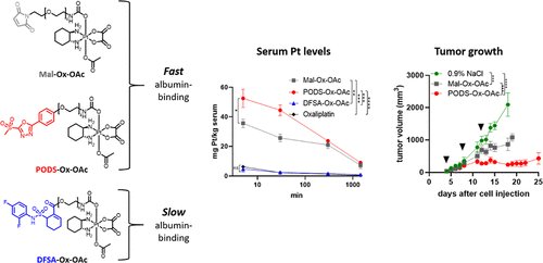 Christian Kowol tweet media