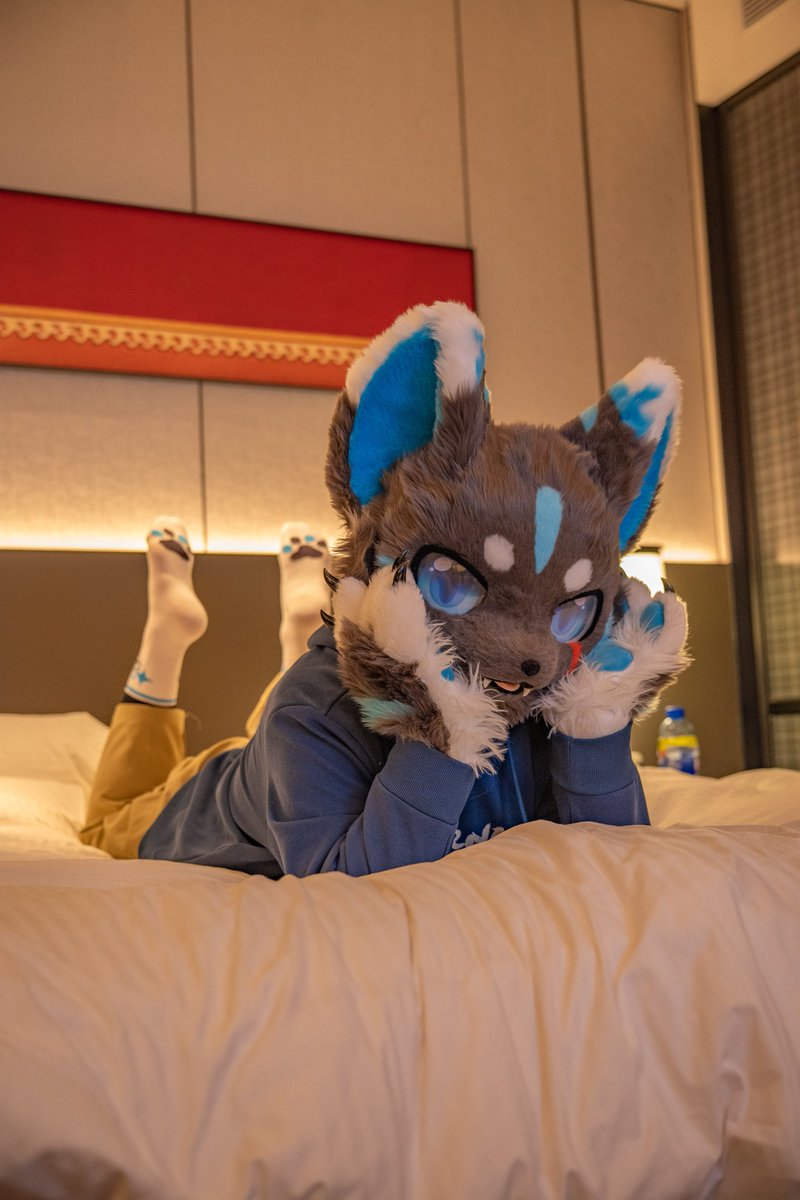 一个人的凌晨时分
谁没有个思念的人✨
📷: 芥末
#FursuitFriday