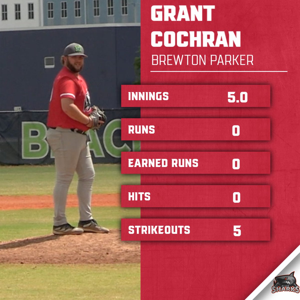 Coastal Collegiate Baseball League tweet media