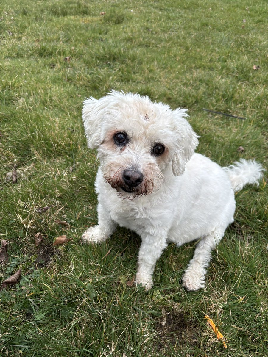 Jane Lythe ⛳️🏀🌹 tweet media