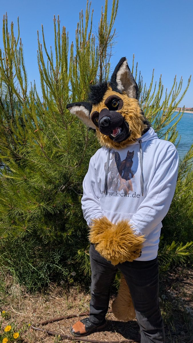 I'm innocent, right?