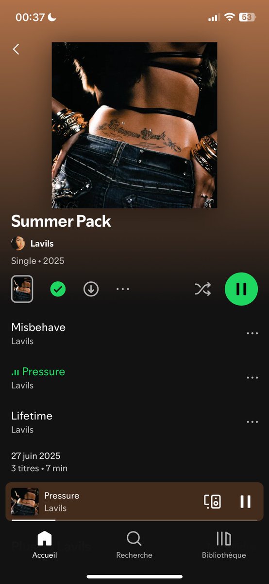 Allez écouter le nouvel album de Lavils, et vite