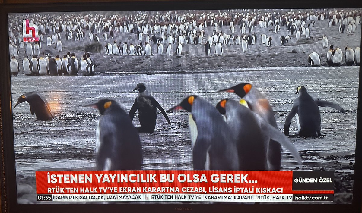 Bu saatte HalkTV..
Haberleri yok, bir ceza da toplantı ve gösteri yürüyüşü kanununa muhalefetten yiyecekler <a href="/halktvcomtr/">Halk TV</a>