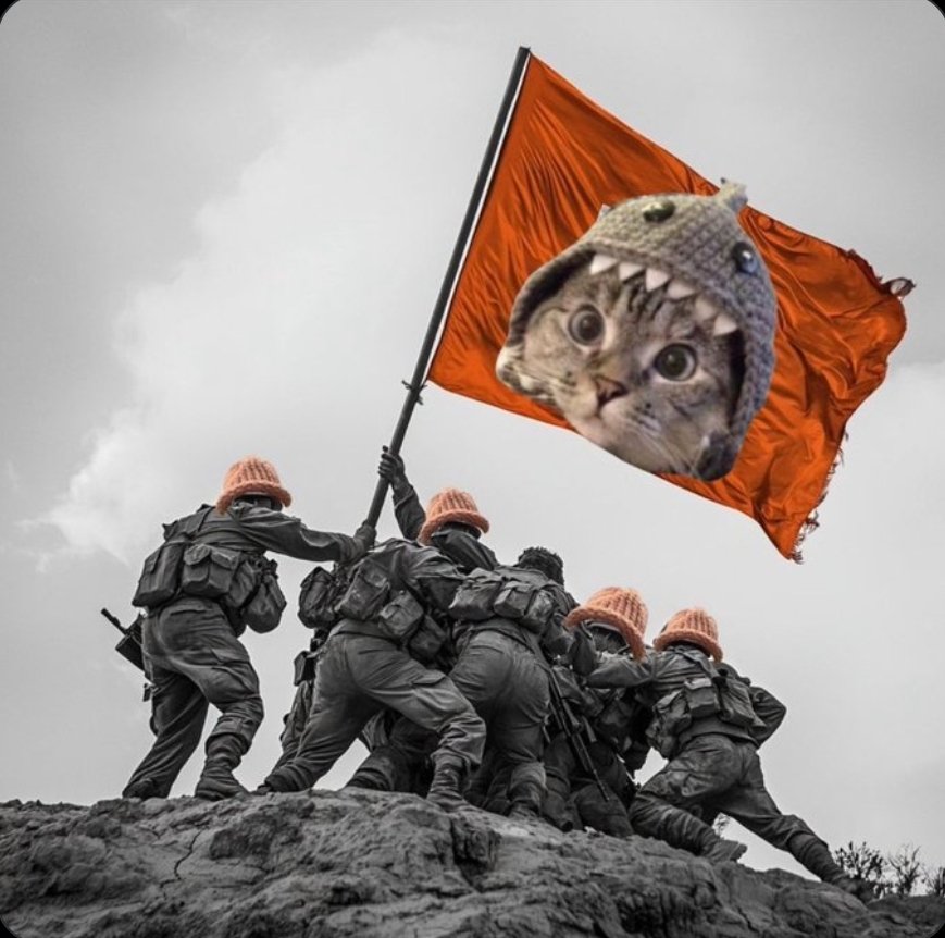 Piratekinggif's tweet image. $sc = S tier ez