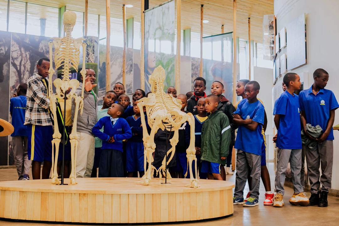 Roots&Shoots Rwanda tweet media