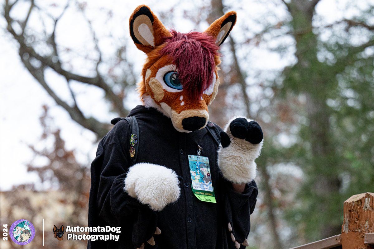 Robin at the Aquatifur 2024 fursuit parade

🦌: <a href="/NEWSomaro/">Robin Wood (Somaro)</a>
🪡: <a href="/Skyprocostumes/">Skyprocostumes🌻</a> 

#Furry #Fursuit #AQF