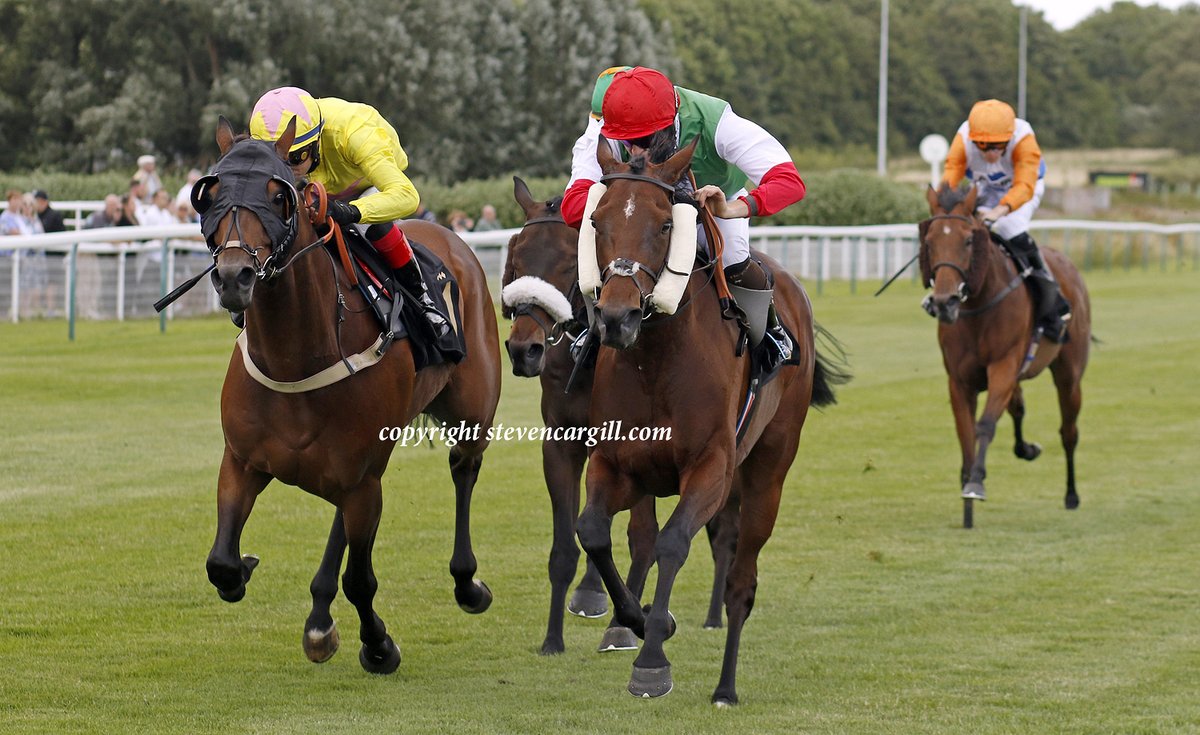 Steven Cargill tweet media