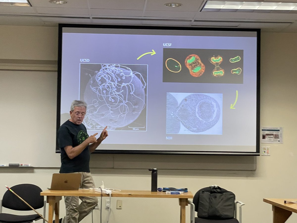 MBLBoP's tweet image. A career journey from cell fertilization to parasites with Gary Ward

#MBLBoP2025