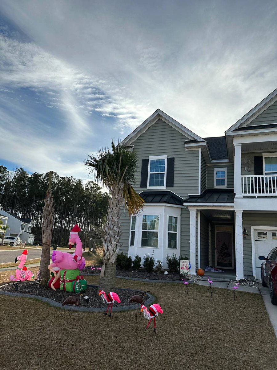 ButschU's tweet image. 