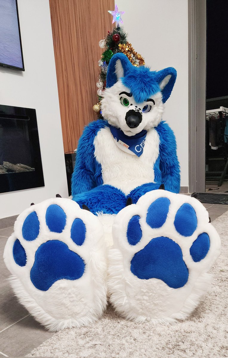 Crazy Wolf 🐾 tweet media