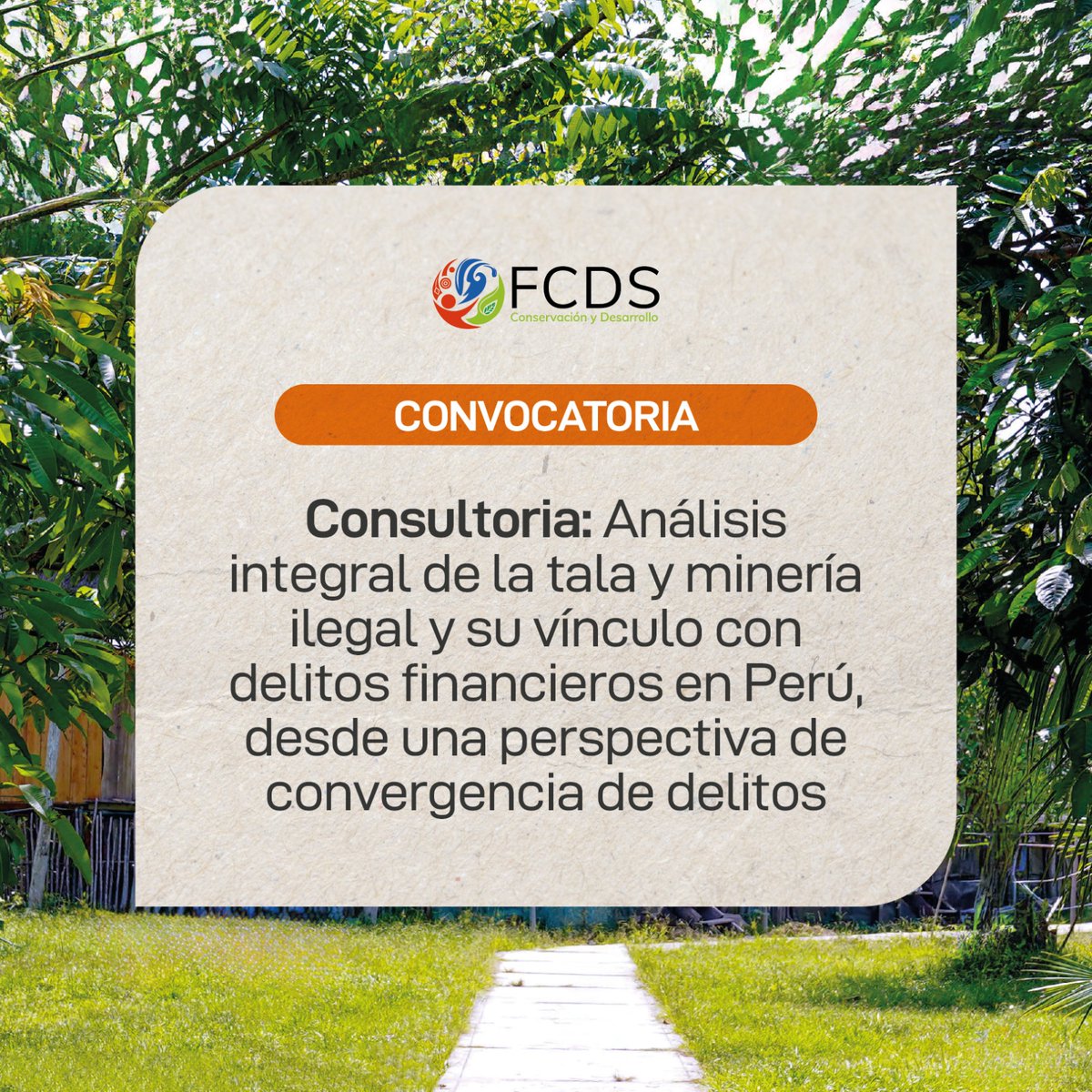 FCDS_Peru's tweet image. 📌#OportunidadLaboral | Consultoría: Análisis integral de la tala y minería ilegal y su vínculo con delitos financieros en Perú, desde una perspectiva de convergencia de delitos.
📅 Postula hasta el 02/07/2025 a las 17:00 hrs

📄 Mira el TDR aquí➡️ fcds.org.pe/wp-content/upl……