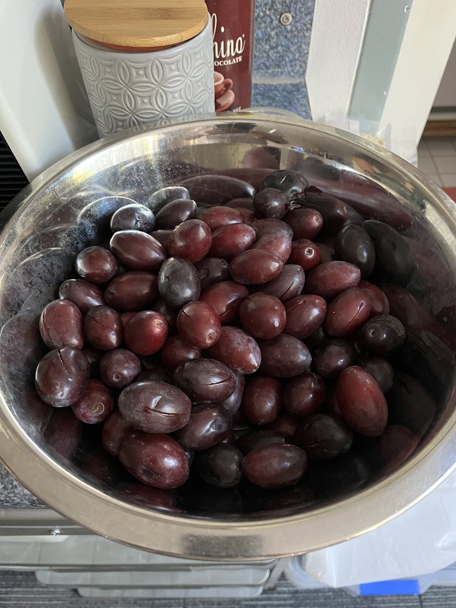 Agent99c's tweet image. Jumbo black olives from neighbours tree ready to pickle #olives #Neighbours #Pickle