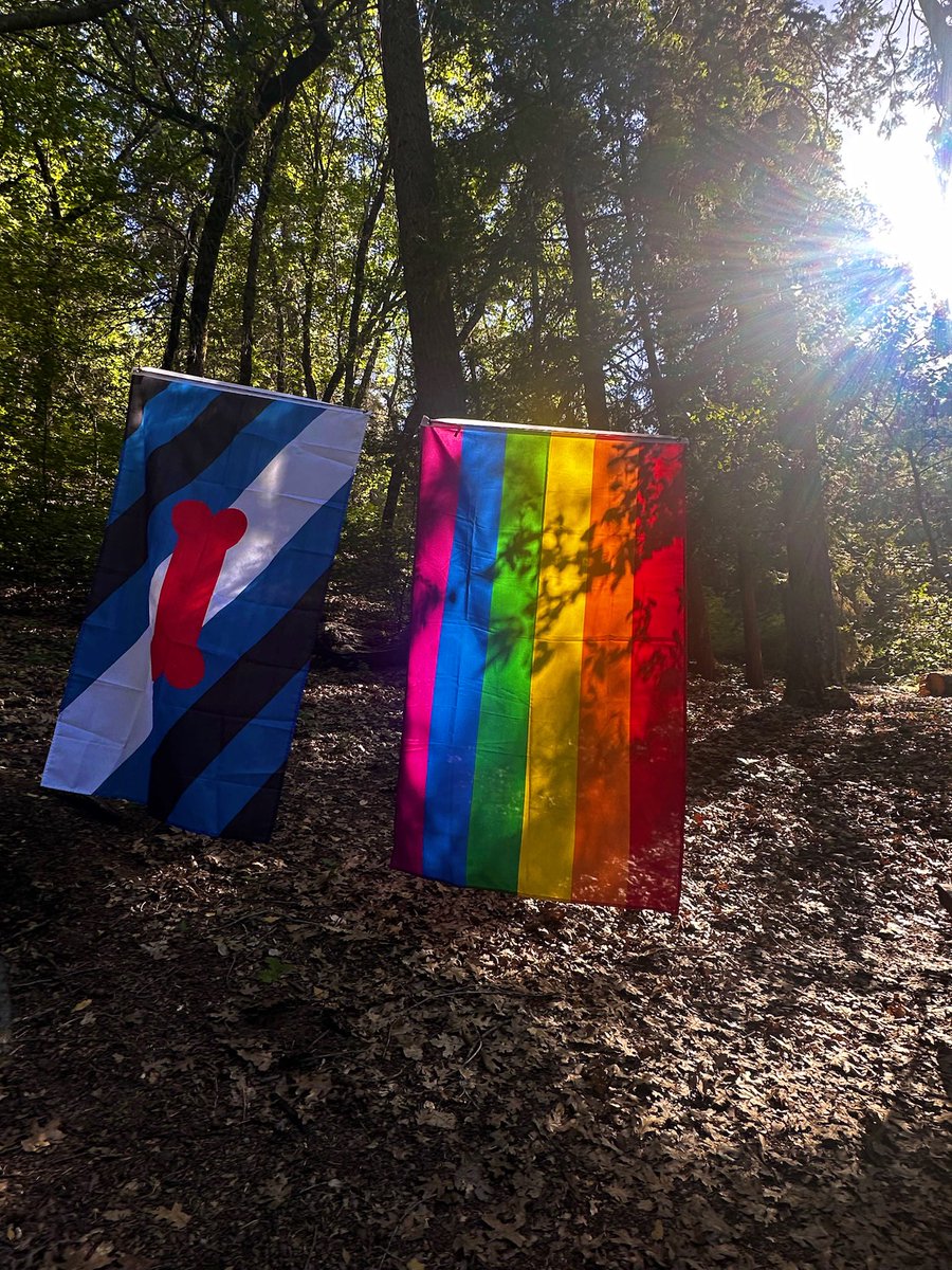 Pup Roger tweet media