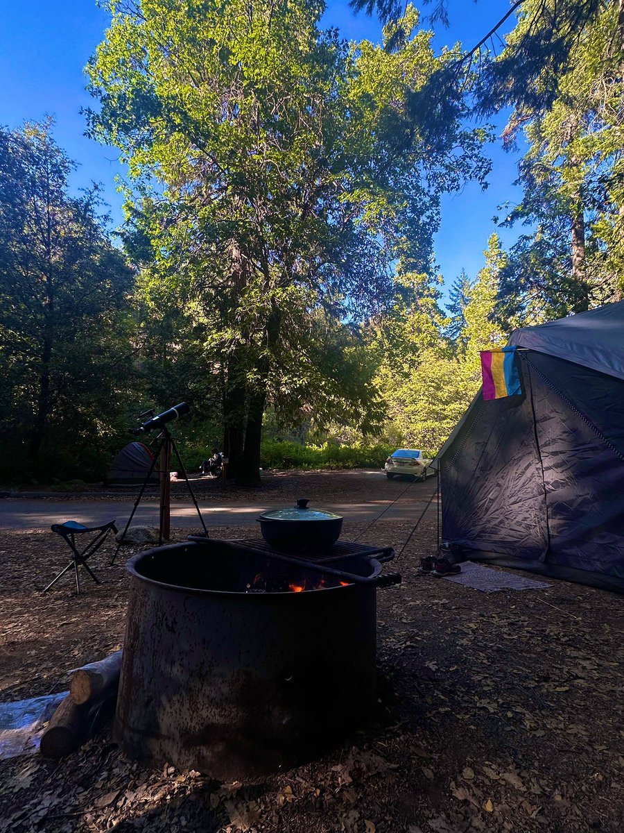 Pup Roger tweet media