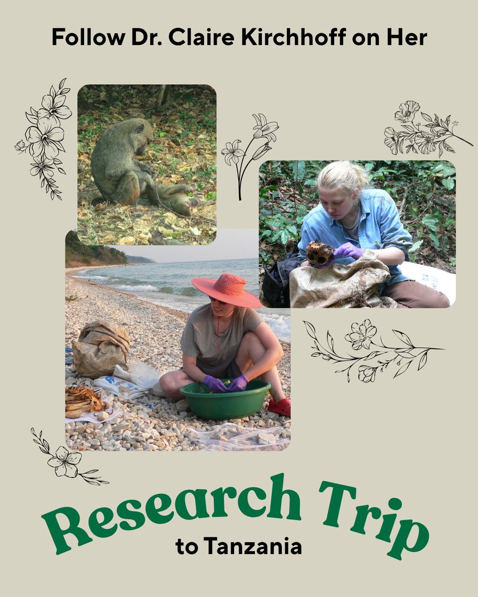 MU Biomedical Sciences Department tweet media