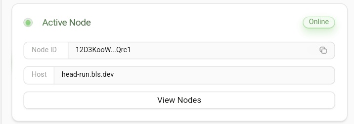 Asolord_X's tweet image. Don't sleep without running @theblessnetwork node🫵