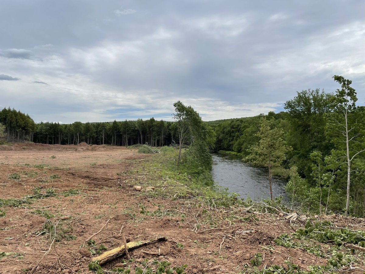 jeff_mingay's tweet image. Remarkable views of River Philip are being opened up in Collingwood, Nova Scotia #newcourse 🇨🇦