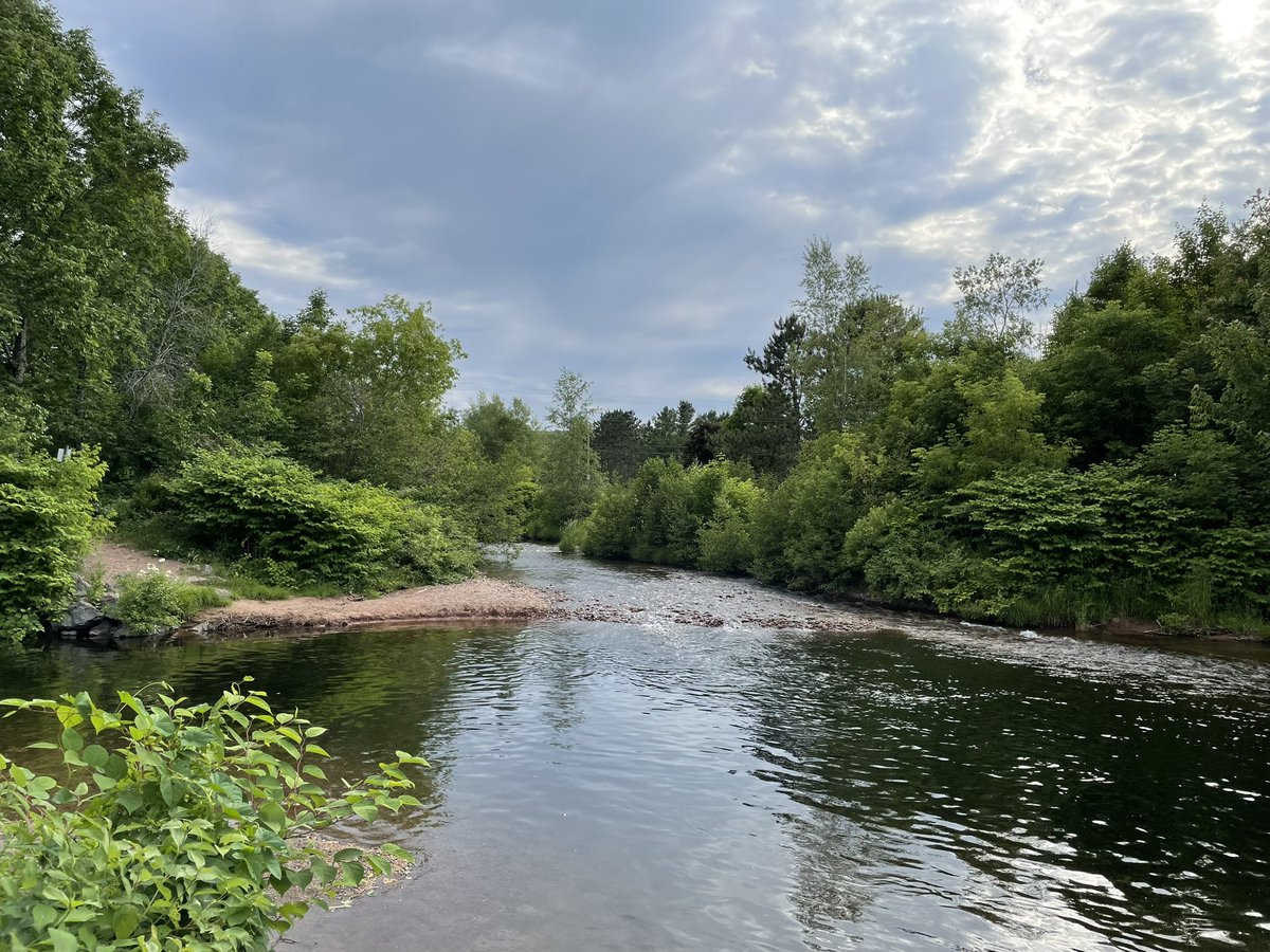 jeff_mingay's tweet image. Remarkable views of River Philip are being opened up in Collingwood, Nova Scotia #newcourse 🇨🇦