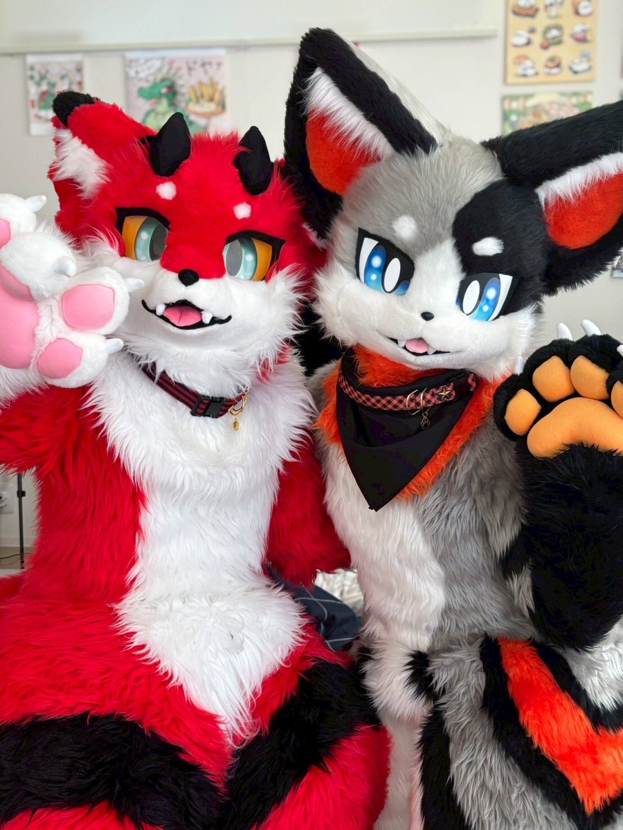 きねどんとあめっこ合わせ🐾

#FursuitFriday
#Amenote_Studio