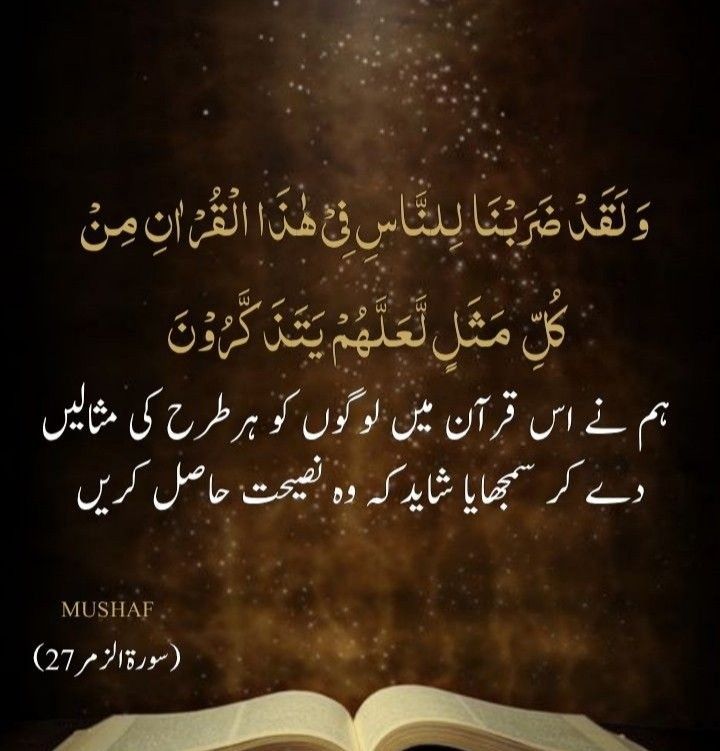 السلام علیکم ورحمۃ اللہ وبرکاتہ ،
ہم نے اس قران میں لوگوں کو ہر طرح کی مثالیں دیکھ کر سمجھایا شاہد کے وہ نصیحت حاصل کریں ،بے شک 
Good morning my dear friend 🌷💖