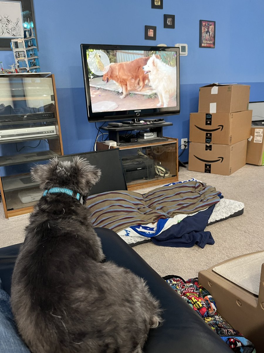 Heather Ham tweet media